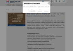 Webové stránky Centrum vzdělávání, informací a kultury, Český Brod