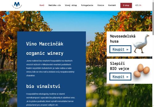 Ing. Petr Marcinčák nabízí práci na pozici TRAKTORISTA/ TRAKTORISTKA v obci Novosedly