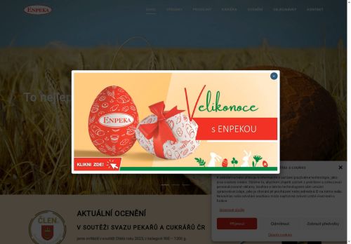 Webové stránky ENPEKA a.s., Nové Město na Moravě