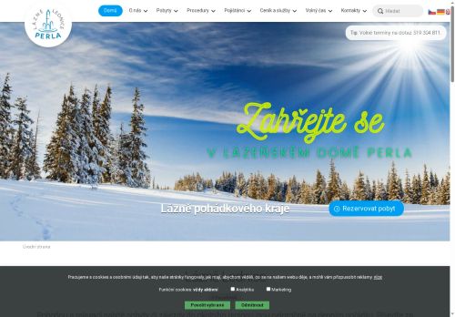 Webové stránky LÁZNĚ LEDNICE, s.r.o., Lednice