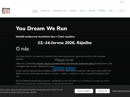 You Dream We Run