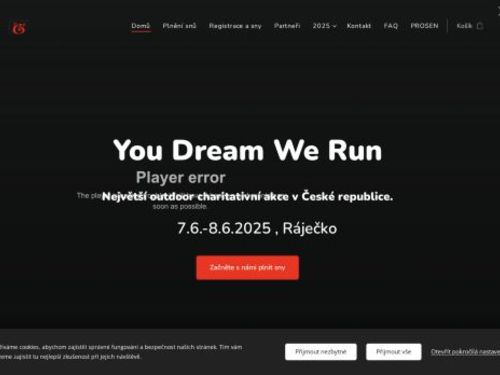 You Dream We Run