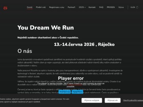 You Dream We Run