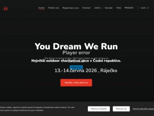 You Dream We Run