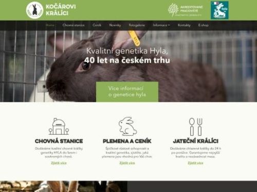 Kočárovi králíci