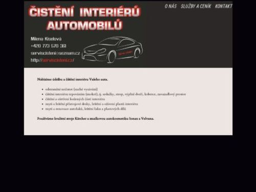 Čistění interiérů automobilů