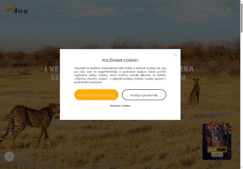 Zobrazit webové stránky Axial Personnel Agency, s.r.o. - pobočka Brno