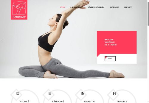 Zobrazit webové stránky Handicap a.s.